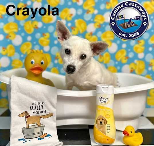 Photo of Crayola