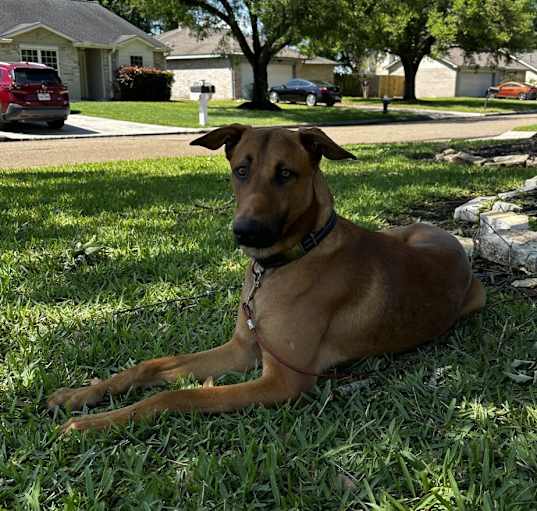 Photo of Bruce