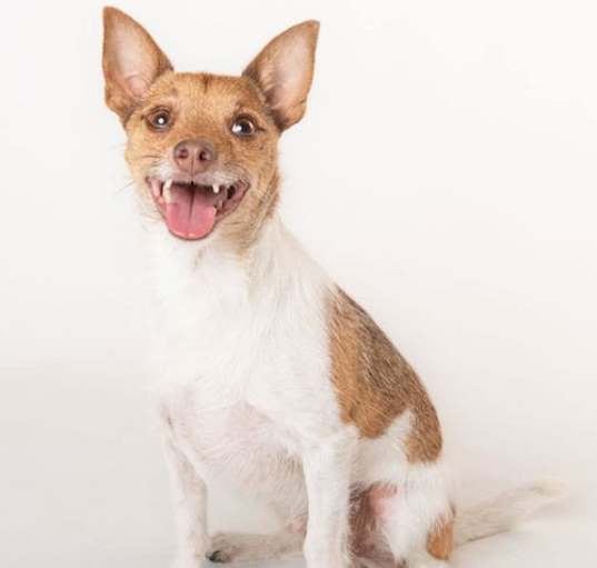 Photo of Frankie - M