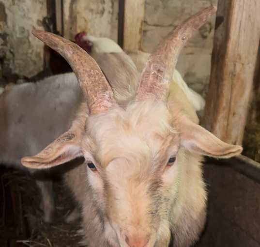 Photo of Gary