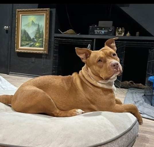 Photo of Phatgirl