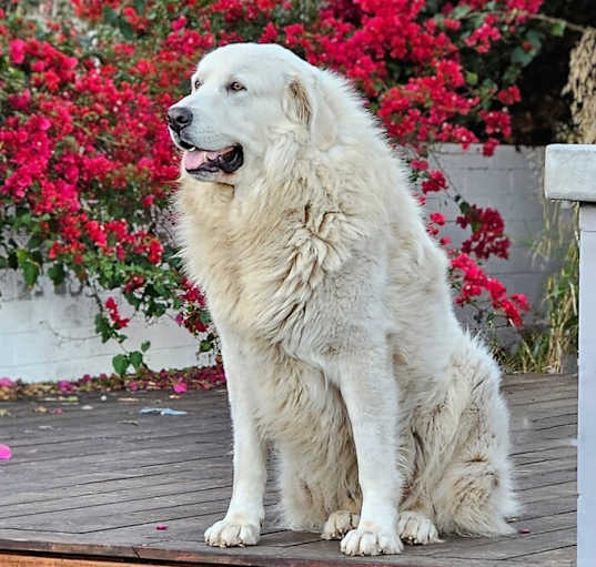 Photo of Olaf