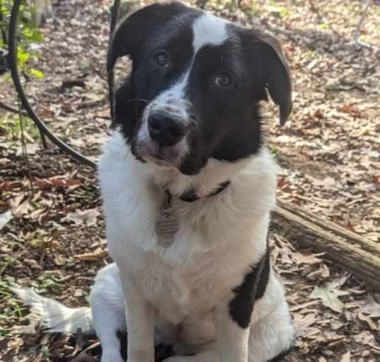 Photo of Sasha