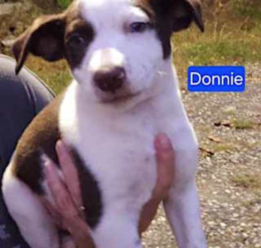 Photo of Donnie