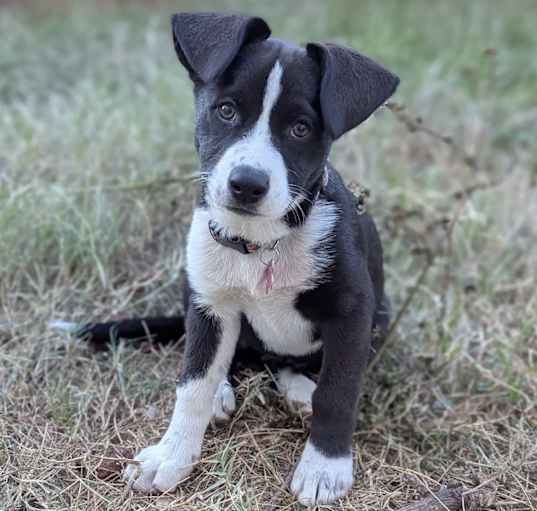 Photo of Lucy