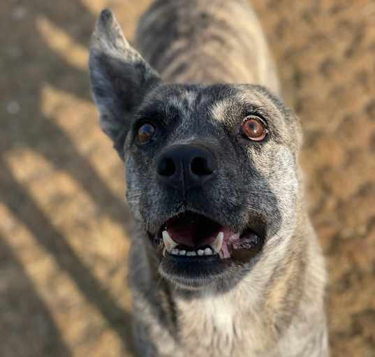 Photo of Zeus