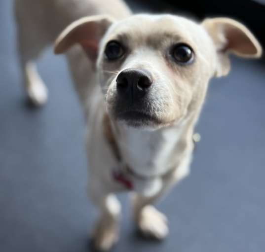 Photo of Mookie
