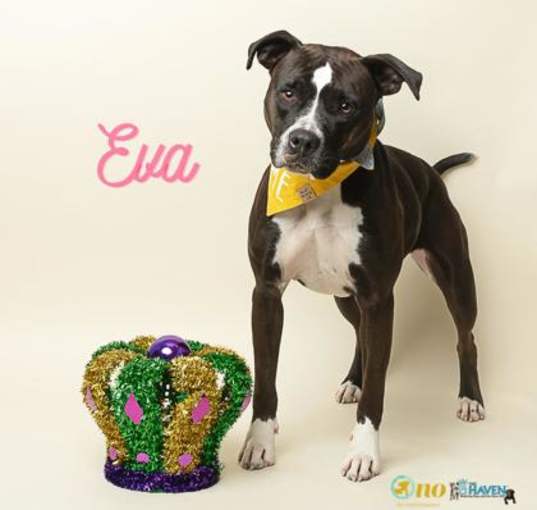 Photo of Eva