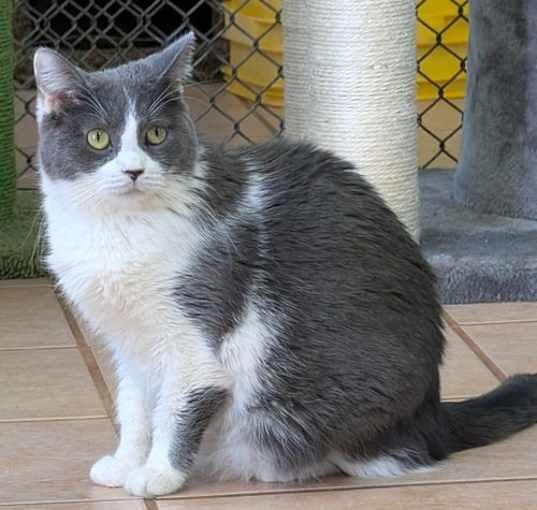Photo of Margo