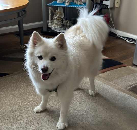 Photo of Ralph
