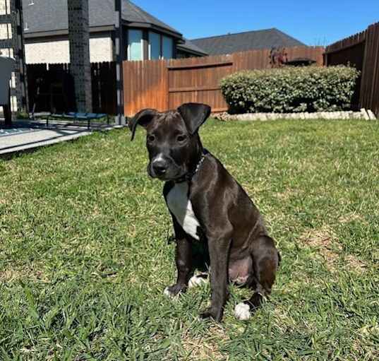 Photo of Snoh Paige