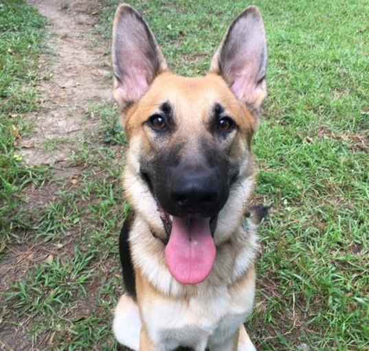 Photo of Thor