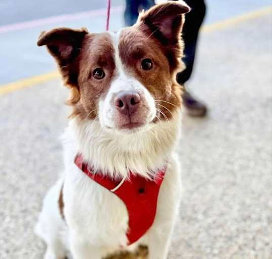 Photo of Kujo