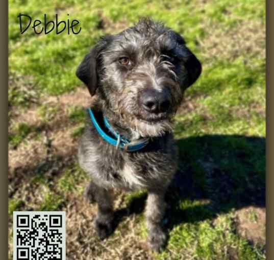 Photo of Debbie
