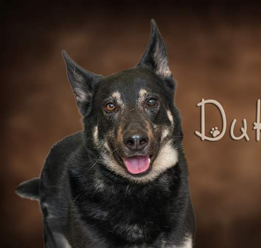 Photo of Duke