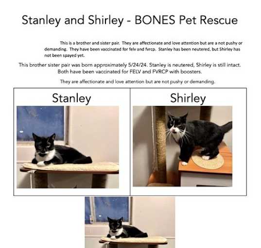 Photo of Shirley + Stanley