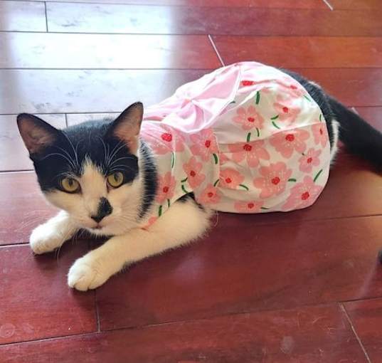 Photo of Mirabel