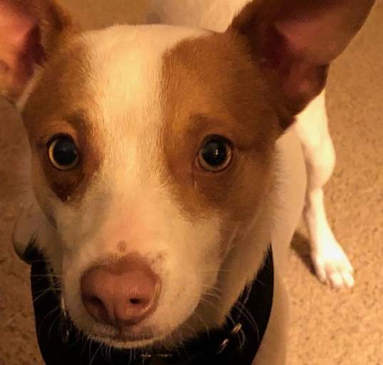 Photo of Bubbie