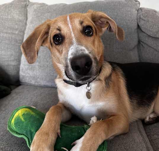 Photo of Winston