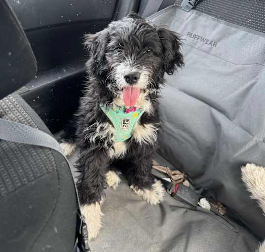 Photo of Waylon