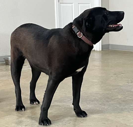 Photo of Annie