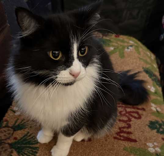 Photo of Lee-Lee