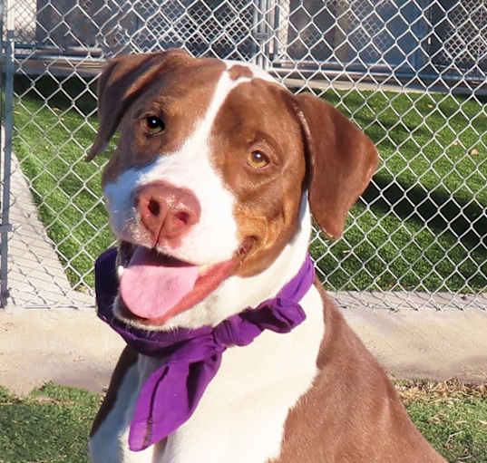 Photo of Oakley