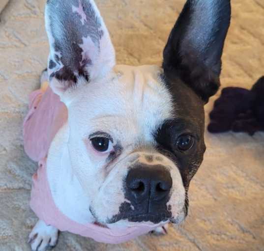 Photo of Luna