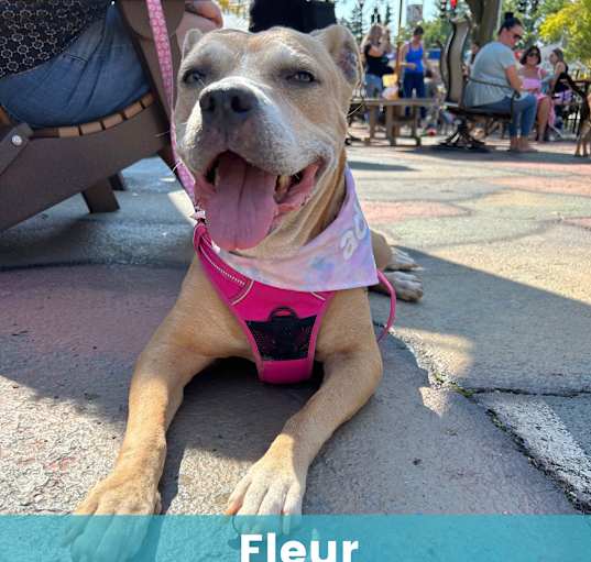 Photo of Fleur