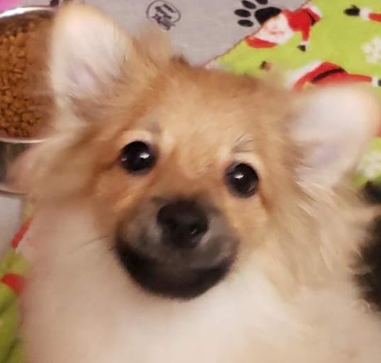 Photo of Kelly