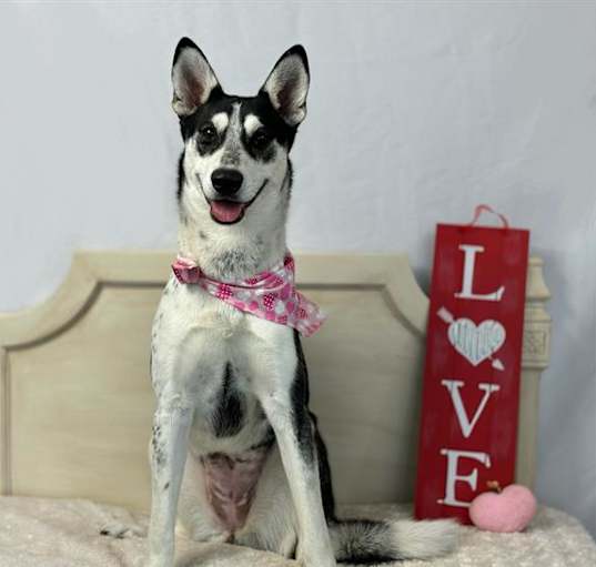 Photo of LUNA