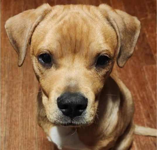 Photo of Bentley