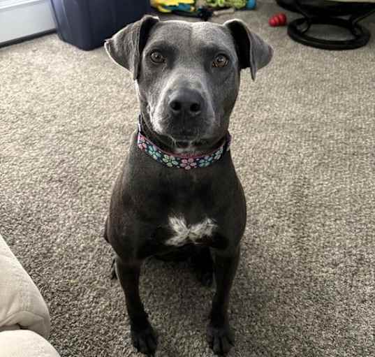 Photo of Lola