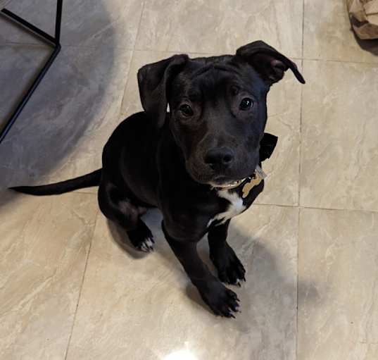 Photo of Kylo