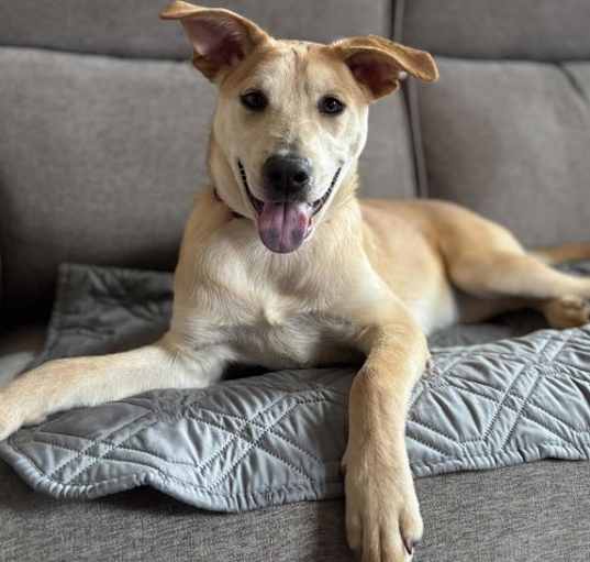 Photo of Leela