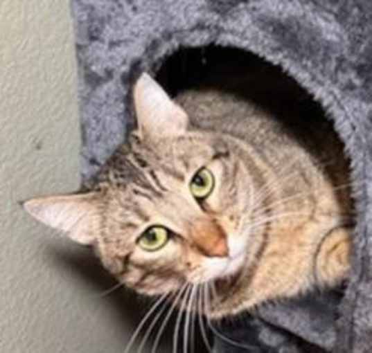 Photo of Annie
