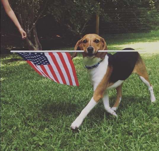 Photo of Charlie