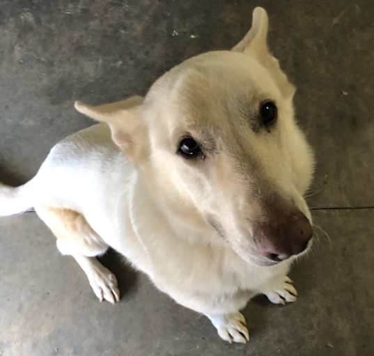 Photo of Major