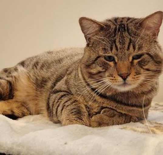 Photo of Vito