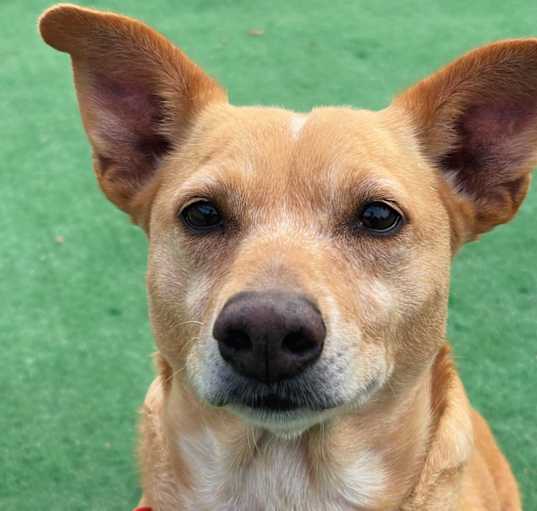Photo of ROXY