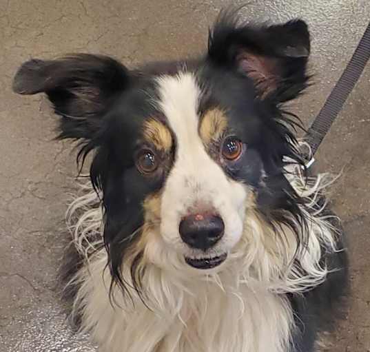 Photo of Scottie