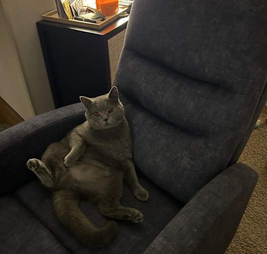 Photo of Chunky