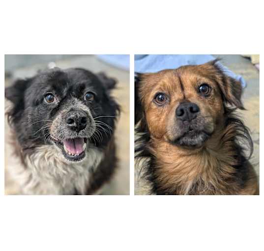 Photo of Gabby & Spice
