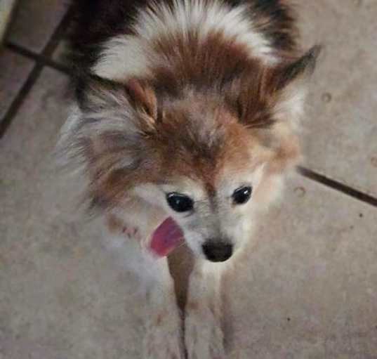 Photo of SAM