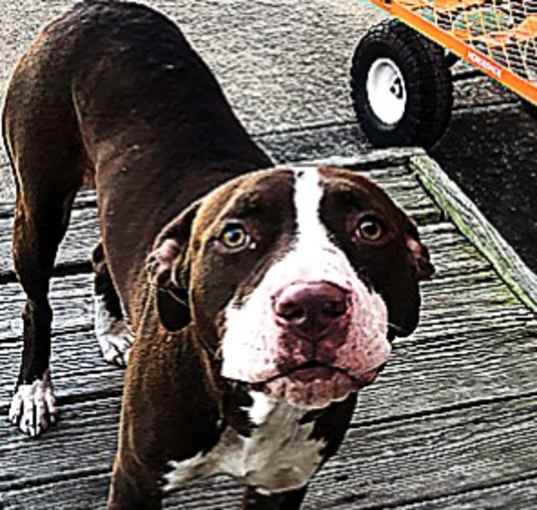 Photo of LuLu