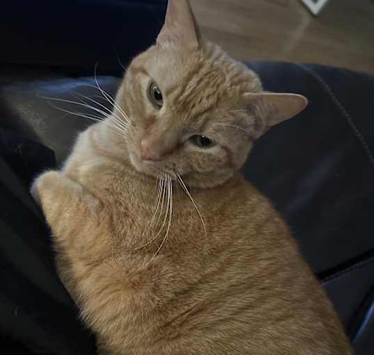 Photo of Patrick