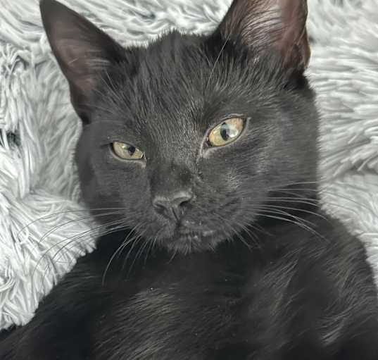 Photo of Coal