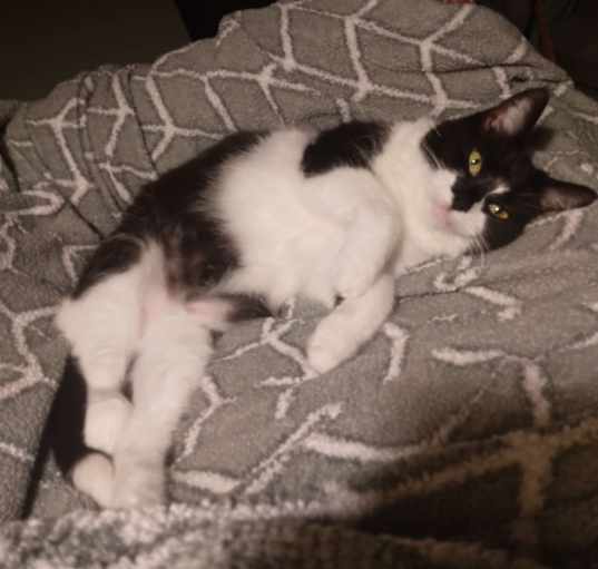Photo of Faustine