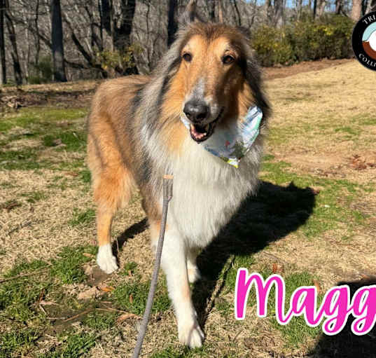 Photo of Maggie