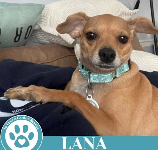 Photo of Lana  (Mom to Dakota) 120724